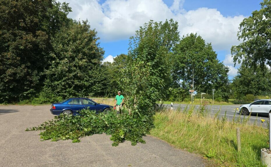 Ein Mann in einem grünen Hemd steht neben einem blauen geparkten Auto auf einem Parkplatz, neben einem umgestürzten Ast. Die Umgebung ist von grünen Bäumen und Grasflächen geprägt, und auf einer angrenzenden Straße fährt ein weißes Auto vorbei. Ein Schild und der bewölkte Himmel werfen Schatten auf den Busch, der nicht sein darf.